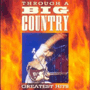 BIG COUNTRY 「Through A Big Country」