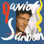 DAVID SANBORN 「Another Hand」