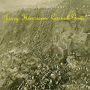 JERRY HARRISON 「Casual Gods」