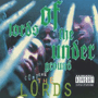 LORDS OF THE UNDERGROUND uHere Come The Lordsv