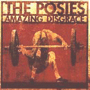 THE POSIES uAmazing Disgracev