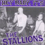 THE STALLIONS uHey Baby, It's The Sallionsv