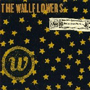 THE WALLFLOWERS uBringing Down The Horsev