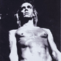 V.A. 「We Will Fall: The Iggy Pop Tribute」