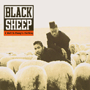 BLACK SHEEP uA Wolf In Sheep's Clothingv