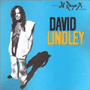DAVID LINDLEY 「El Rayo-X」