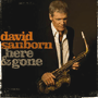 DAVID SANBORN 「Here & Gone」