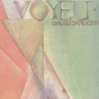 DAVID SANBORN 「Voyeur」