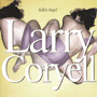 LARRY CORYELL uFallen Angelv