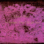 MAZZY STAR　「So Tonight That I Might See」