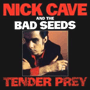 NICK CAVE AND THE BAD SEEDS 「Tender Prey」