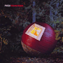 PHISH 「Round Room」