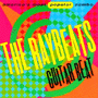 THE RAYBEATS@uGuitar Beatv