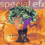 SPECIAL EFX 「Here To Stay」