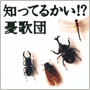 憂歌団 「知ってるかい!?」